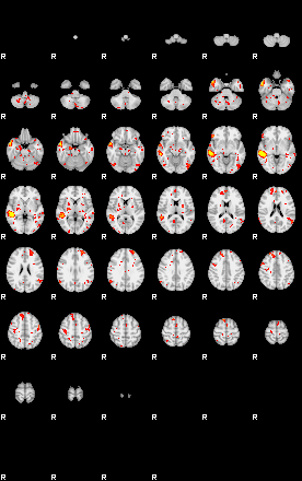 Patient:19;component:98