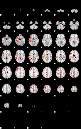 Patient:20;component:131