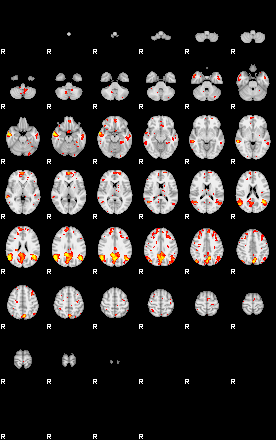 Patient:20;component:142