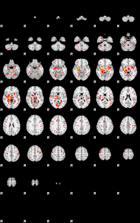 Patient:20;component:159