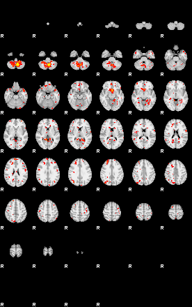 Patient:20;component:196