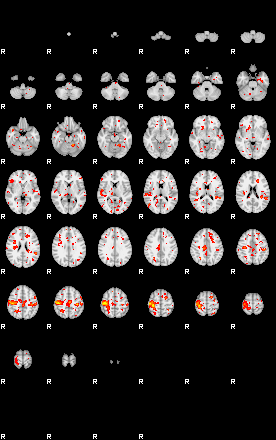 Patient:20;component:21