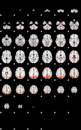 Patient:20;component:80