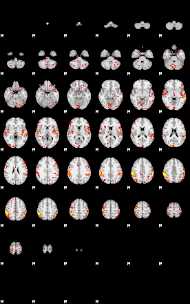 Patient:21;component:138