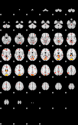 Patient:21;component:181