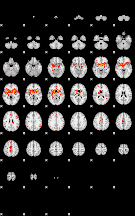 Patient:21;component:186