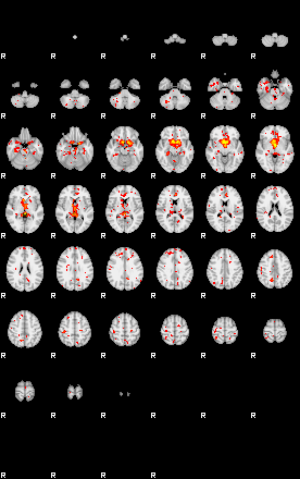 Patient:22;component:167