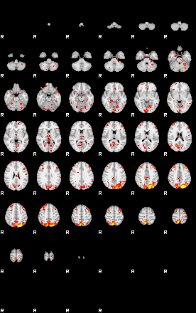 Patient:22;component:181