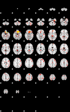 Patient:23;component:113