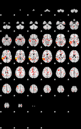 Patient:23;component:131