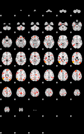 Patient:23;component:142