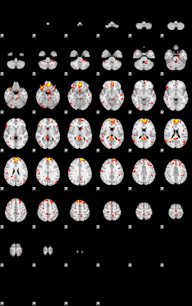 Patient:23;component:155