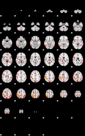 Patient:23;component:17