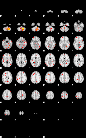 Patient:23;component:196