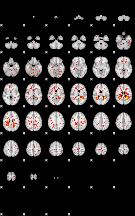 Patient:23;component:20