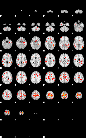 Patient:23;component:37