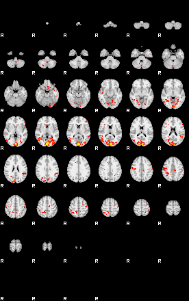 Patient:24;component:102