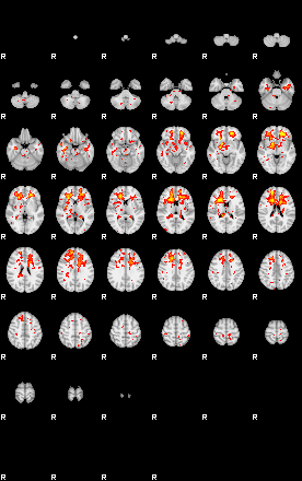 Patient:24;component:112