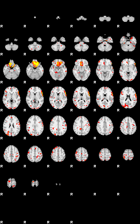 Patient:24;component:113