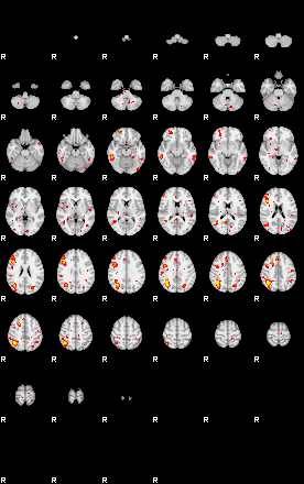 Patient:24;component:119