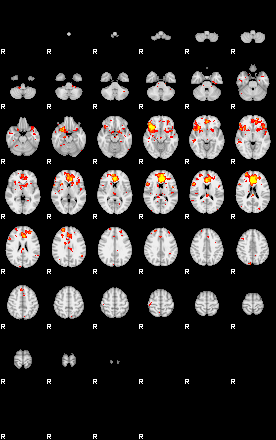 Patient:24;component:125