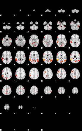 Patient:24;component:131