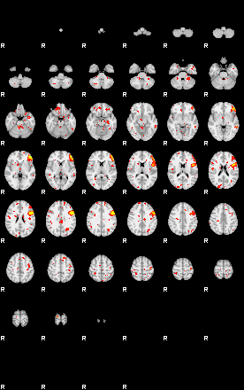 Patient:24;component:141