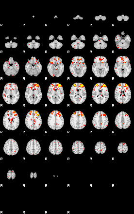 Patient:24;component:146