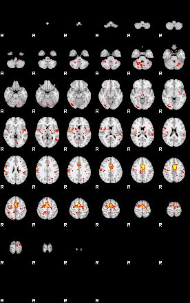 Patient:24;component:147