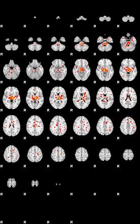 Patient:24;component:175