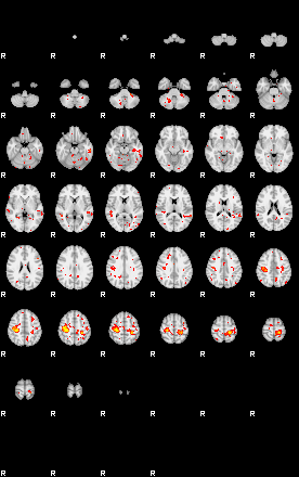 Patient:24;component:178