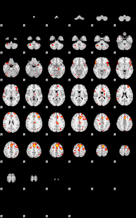 Patient:24;component:194