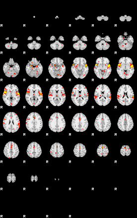 Patient:24;component:195