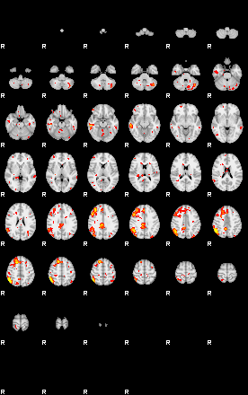 Patient:24;component:25