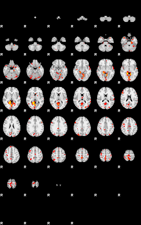 Patient:24;component:29