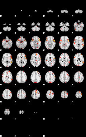 Patient:24;component:41