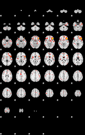 Patient:24;component:42