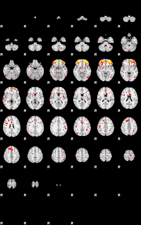 Patient:24;component:48