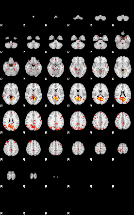 Patient:24;component:5