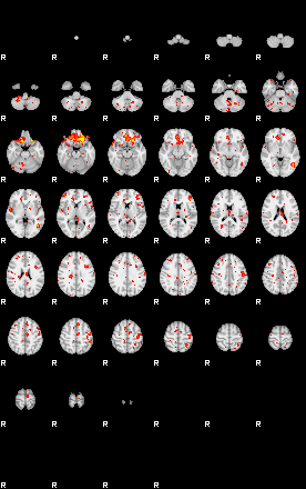 Patient:25;component:113