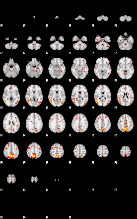 Patient:25;component:142