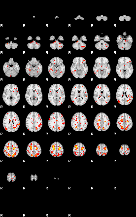 Patient:25;component:147