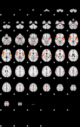 Patient:25;component:195