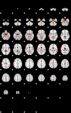 Patient:25;component:24