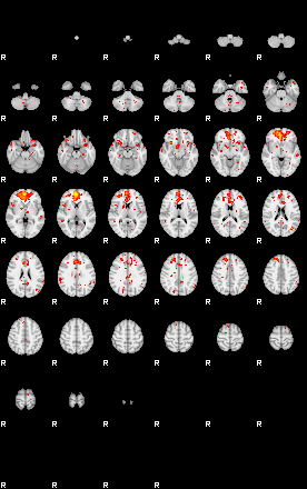 Patient:25;component:81