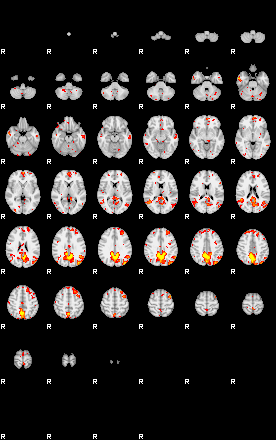 Patient:26;component:118