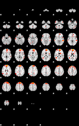 Patient:26;component:155