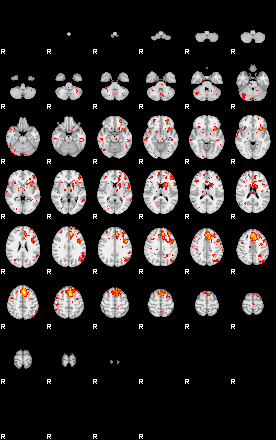 Patient:26;component:194