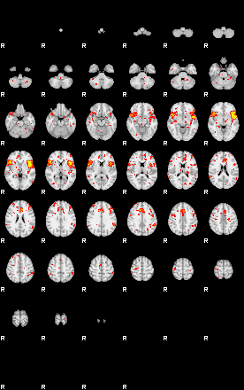 Patient:26;component:195