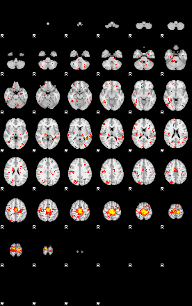 Patient:26;component:37